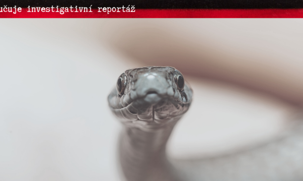 Ilustrativní fotka kobry upomínající útvar Daňová kobra.
